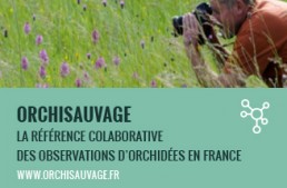 Orchisauvage et la COP21