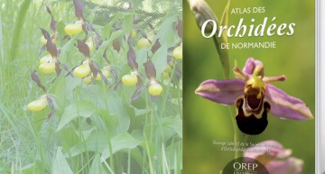 Atlas des orchidées de Normandie