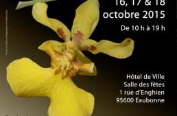 11e Salon des Orchidées à Eaubonne (95)
