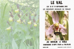 Orchidées sauvages de France – expo sept. 2015