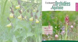Orchidées d’Aquitaine