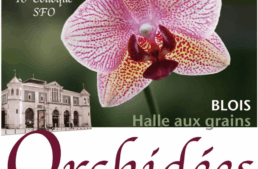 Actes des colloques de la Société Française d&rsquo;Orchidophilie