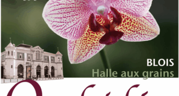Actes des colloques de la Société Française d&rsquo;Orchidophilie