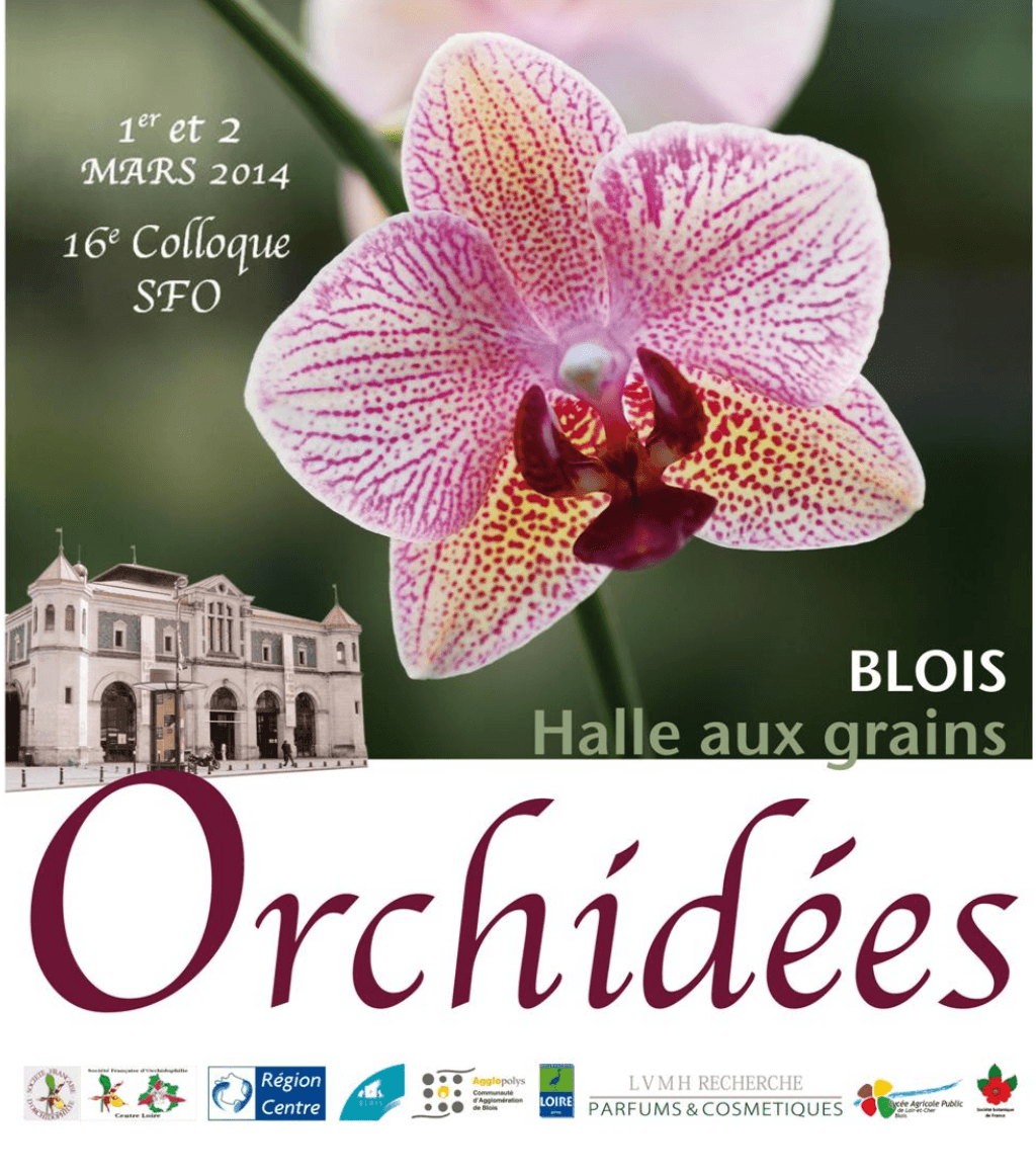 Coloque sfo actes blois 2014