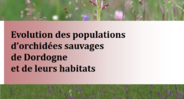Evolution des populations d’orchidées sauvages en Dordogne et de leurs habitats