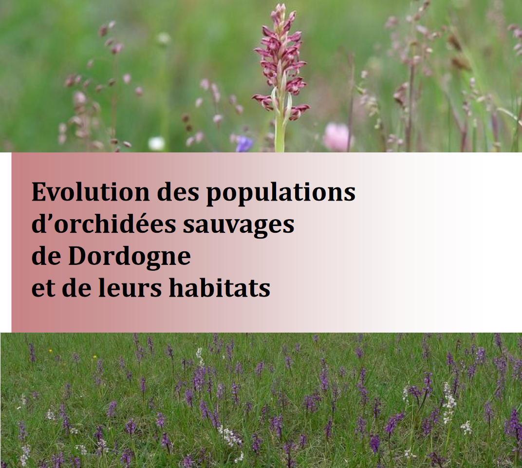 Evolutions des orchidées sauvages Dordogne