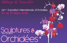 Orchidées & Art à Vaucelles