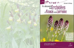 Vient de Paraître : A la découverte des orchidées sauvages d’Alsace et de Lorraine