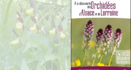 Vient de Paraître : A la découverte des orchidées sauvages d’Alsace et de Lorraine