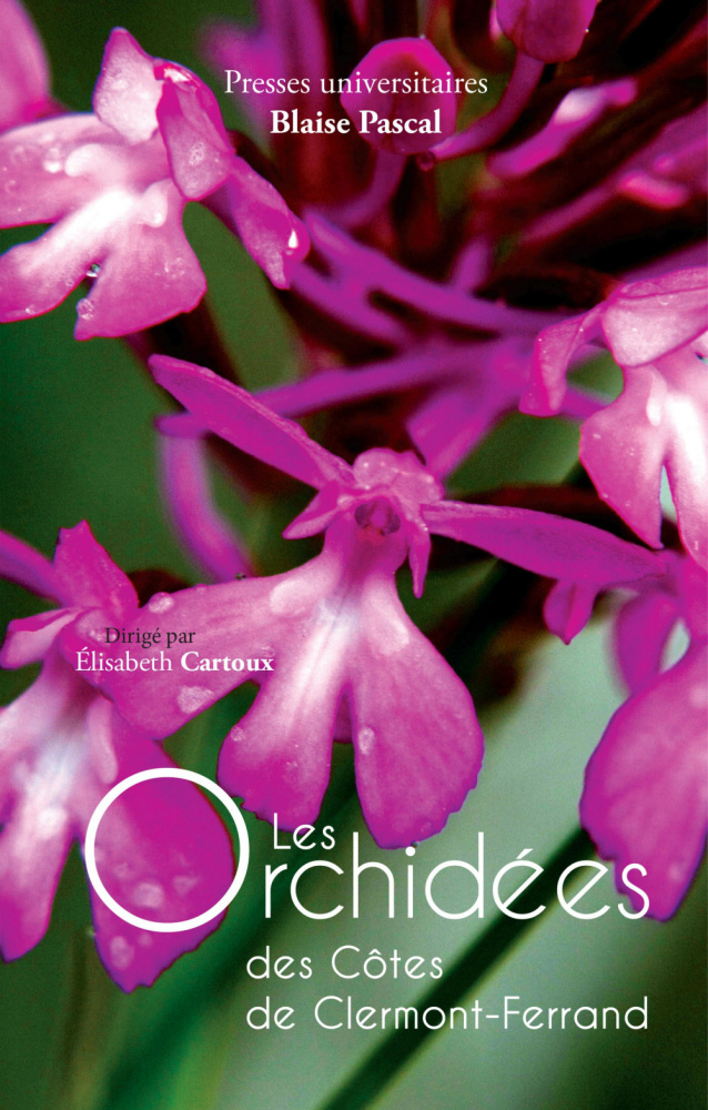 Orchidées des cotes de Clermont-Ferrand