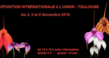 Exposition d’orchidées à Toulouse – 2016