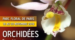 Exposition au Parc Floral de Vincennes – 2016
