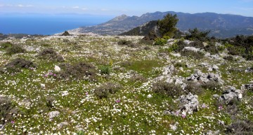 Voyage de la SFO en 2018 : ouest de la Crète du 22 au 29 avril