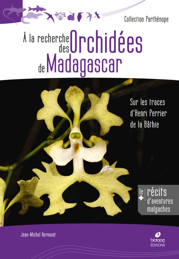 A la recherche des orchidées de Madagascar
