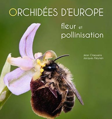 Orchidées d'Europe fleur et pollinisation