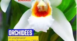 Exposition d’orchidées à Bordeaux