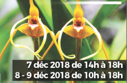 2° Exposition d’orchidées à Jonzac (17) – 2018