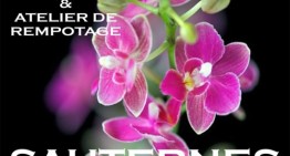 Exposition d’orchidées à Sauternes – 2018