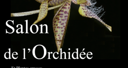 Exposition d’orchidées (et de plantes grasses) à Montamizé (86) – Mars 2019