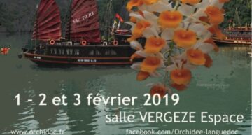 Exposition d’orchidées à Vergèze (30) – 2019