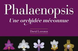 Phalaenopsis, un livre en français !