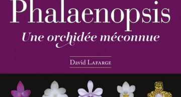 Phalaenopsis, un livre en français !