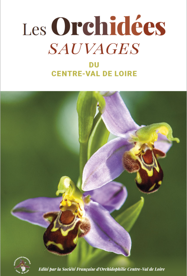 Orchidées Centre Val de Loire