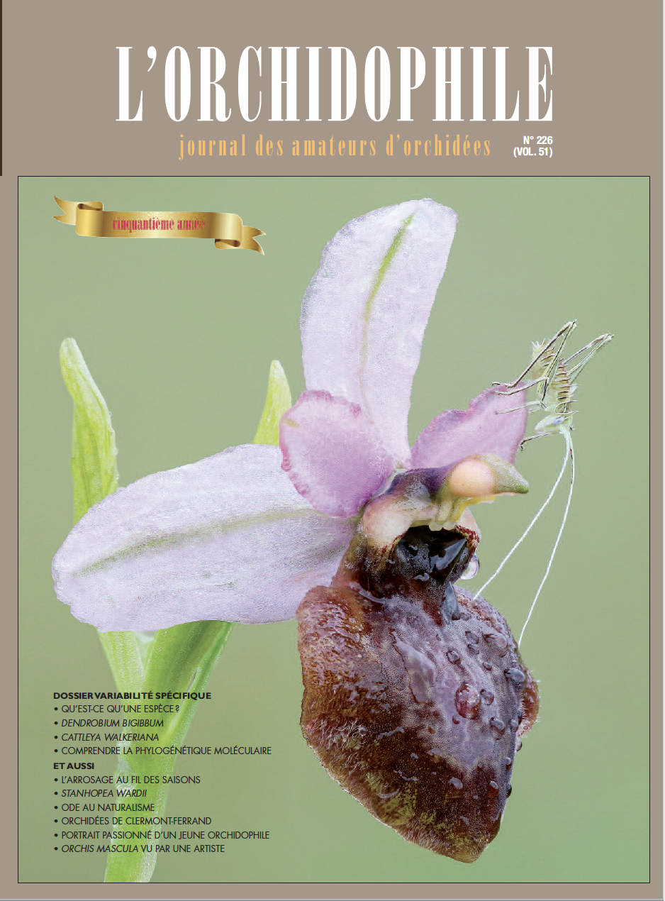 L'Orchidophile Septembre 2020