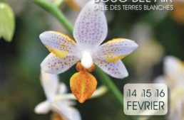13° Salon international Orchidées 2020 – Bouc de Bel Air
