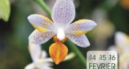 13° Salon international Orchidées 2020 – Bouc de Bel Air