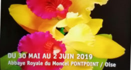 Exposition abbaye royale du Moncel 2019
