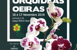 Exposition d’orchidées à Oeiras 2019