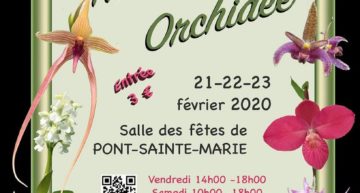 Exposition Nature Orchidée 21-23 février 2020