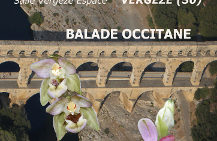 Annulé ! 20° salon international d’orchidées – Vergèze 2021