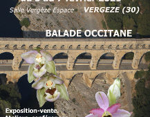 Annulé ! 20° salon international d’orchidées – Vergèze 2021