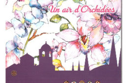 14° Festival International Orchidées à FontFroide