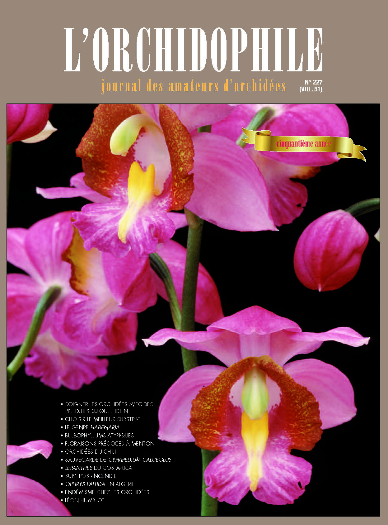 Orchidophiel décembre 2020