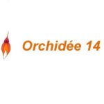 ORCHIDÉE 14