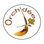 ORCHIDÉE 92