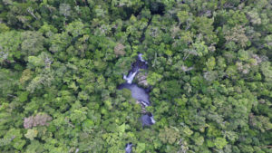La forêt d'Ambodiriana vue par un drone