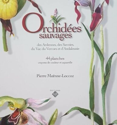 Orchidées sauvages des Ardennes, des Savoies, du Var, du Vercors et d'Andalousie