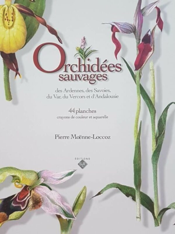 Orchidées sauvages des Ardennes, des Savoies, du Var, du Vercors et d'Andalousie