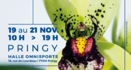Biennale d’orchidées à Pringy du 19 au 21 novembre 2021