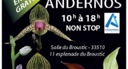 Exposition d’orchidées à Andernos du 8 au 10 octobre 2021