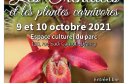 Les Orchidées et les plantes carnivores – 9 et 10 octobre 2021