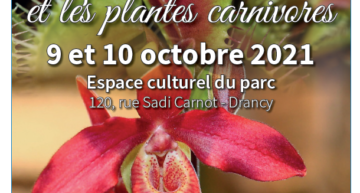 Les Orchidées et les plantes carnivores – 9 et 10 octobre 2021