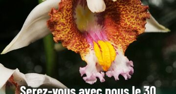 30 septembre 2021 : soirée de générosité d’Univet-Nature, une action pour les orchidées de Madagascar