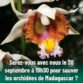 30 septembre 2021 : soirée de générosité d’Univet-Nature, une action pour les orchidées de Madagascar