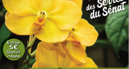 Exposition internationale d’orchidées à Jonzac du 10 au 12 décembre 2021
