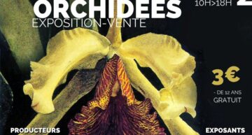 Voyage extraordinaire au pays des Orchidées – Exposition 12-14 novembre 2021